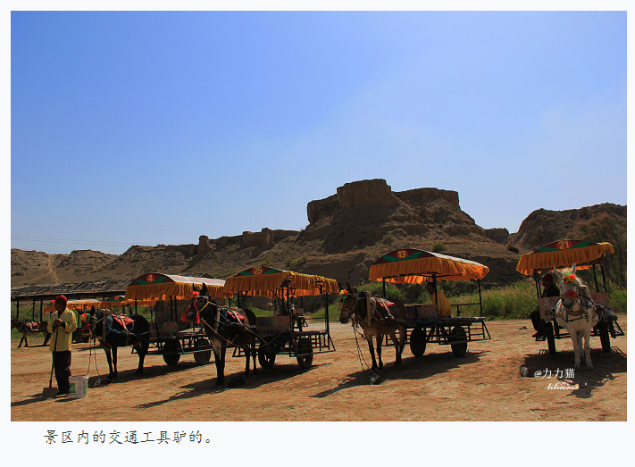 寧夏水洞溝旅游驢友游記19