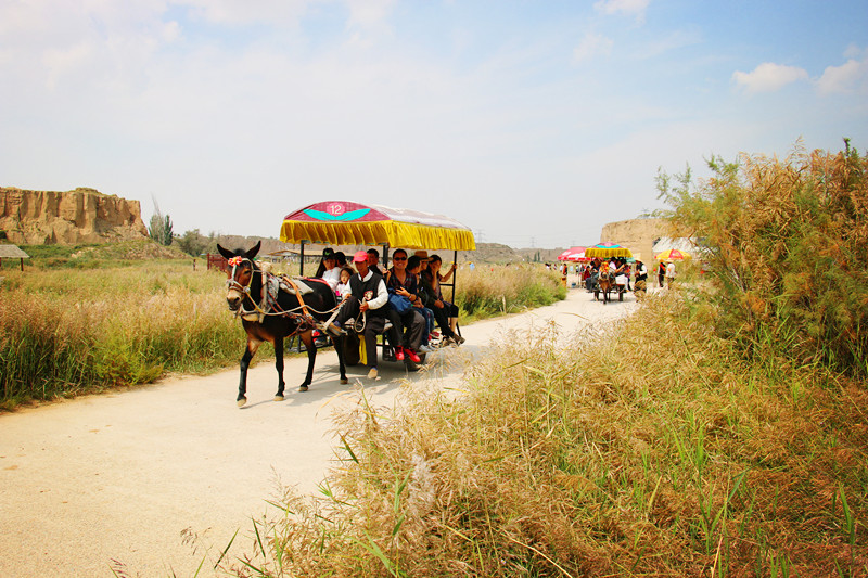 寧夏水洞溝旅游區(qū)游客乘坐驢車