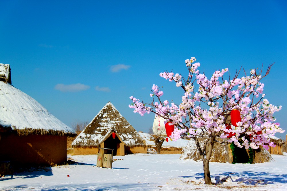 銀川旅游